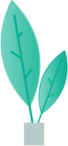 auth-tree